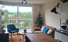 Departamento Osorno 215